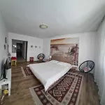 Nefumatori Panoramic, Self Check In