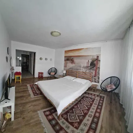 Nefumatori Panoramic, Self Check In