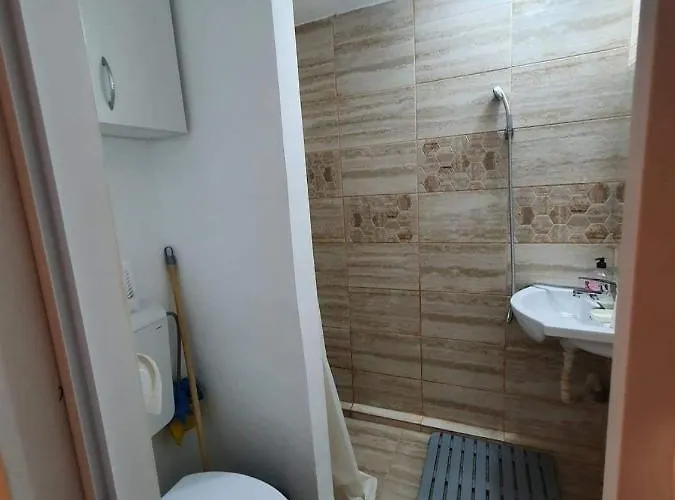 Nefumatori Panoramic, Self Check In