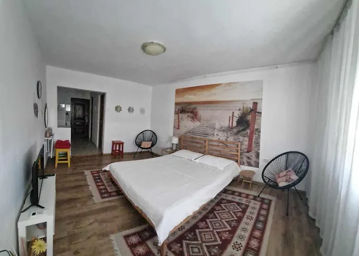 Nefumatori Panoramic, Self Check In