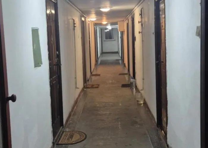 Nefumatori Panoramic, Self Check In